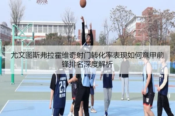 尤文图斯弗拉霍维奇射门转化率表现如何意甲前锋排名深度解析