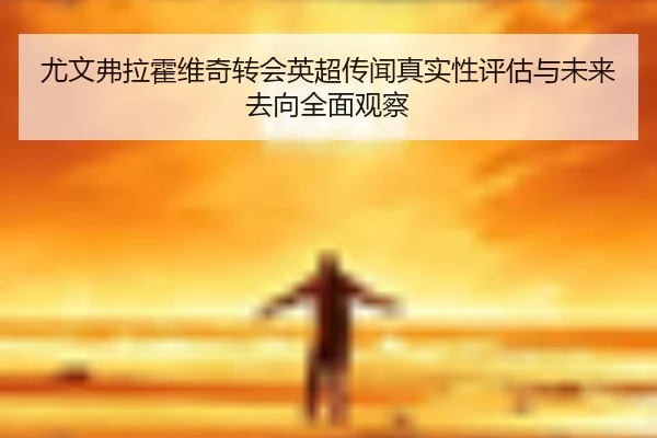 尤文弗拉霍维奇转会英超传闻真实性评估与未来去向全面观察